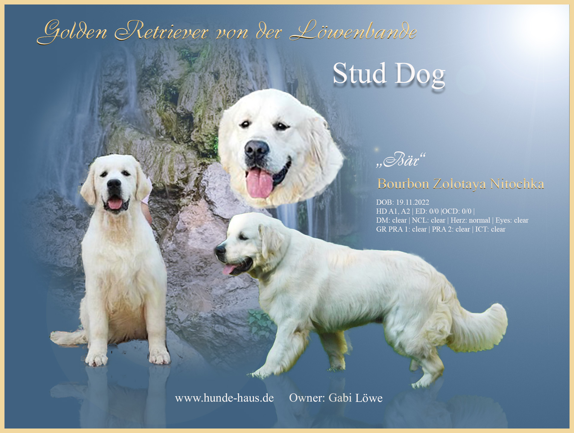 baileyr.jpg (24713 Byte)