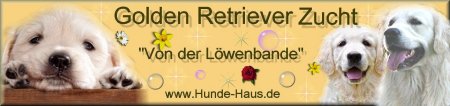 banner eigener 14.10.jpg (15388 Byte)