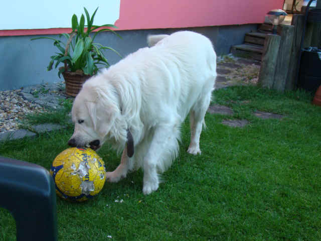 DSC07789.JPG (124941 Byte)