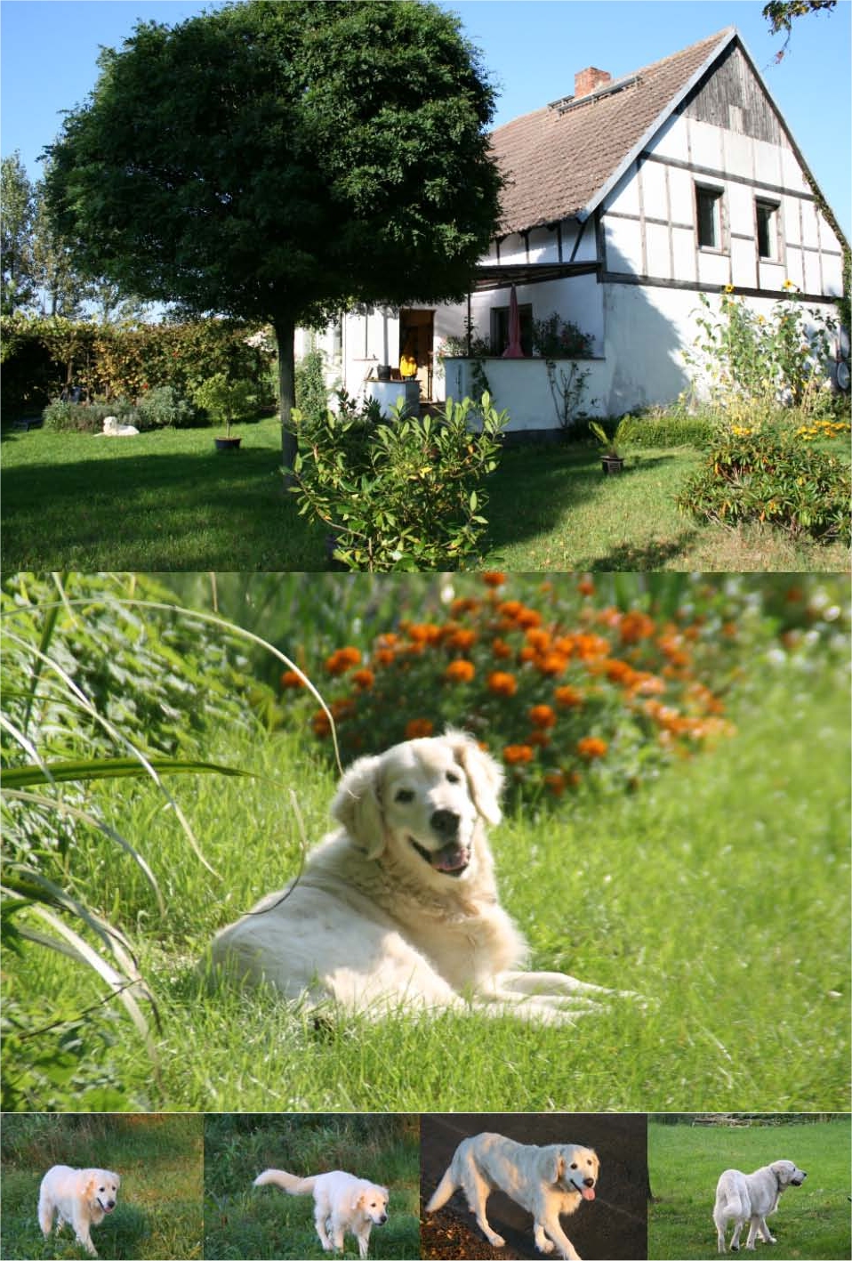 B34.jpg (781886 Byte)