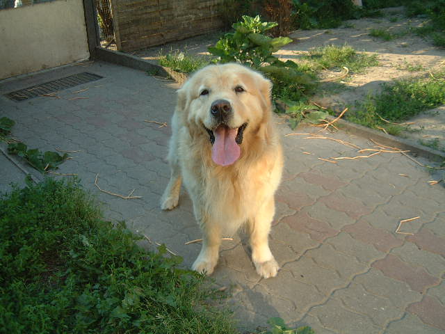 DSCF8441.JPG (61200 Byte)