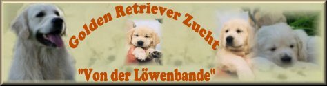 banner eigener 14.10.jpg (15388 Byte)