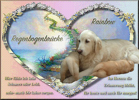 cordiregenbogen.jpg (127730 Byte)