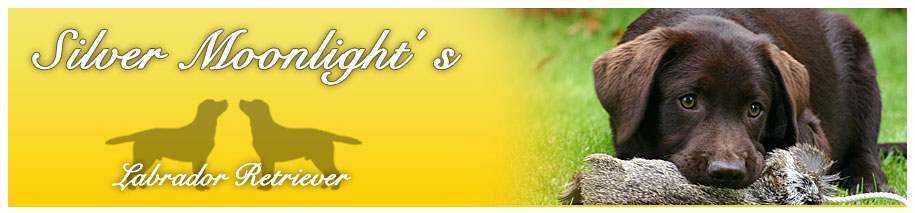 silvermond.jpg (48445 Byte)