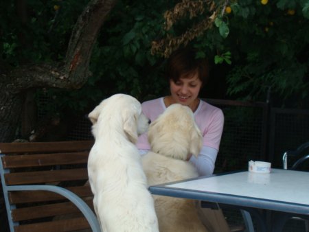 Dsc02934.jpg (25173 Byte)