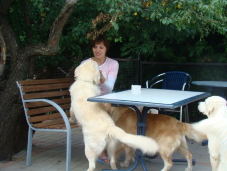 Dsc02936.jpg (34381 Byte)