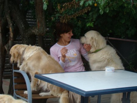 Dsc02938.jpg (30009 Byte)