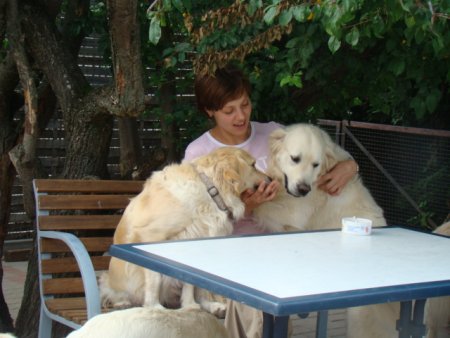 Dsc02940.jpg (34290 Byte)