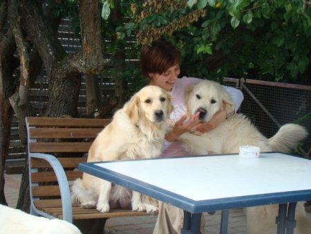 Dsc02941.jpg (34850 Byte)