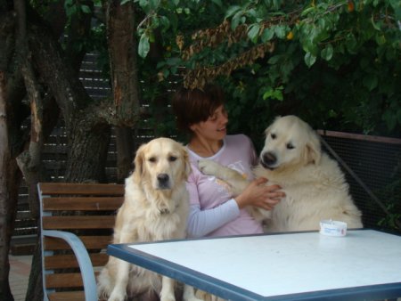 Dsc02943.jpg (32510 Byte)