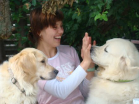 Dsc02944.jpg (23772 Byte)