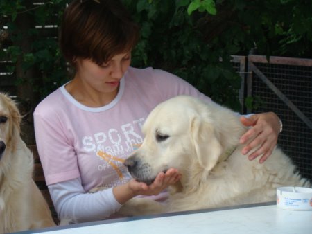 Dsc02947.jpg (27016 Byte)