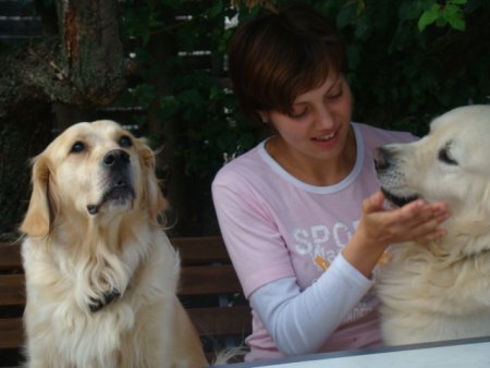 Dsc02948.jpg (26448 Byte)