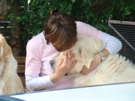 Dsc02953.jpg (30248 Byte)