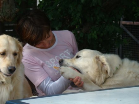 Dsc02957.jpg (23645 Byte)