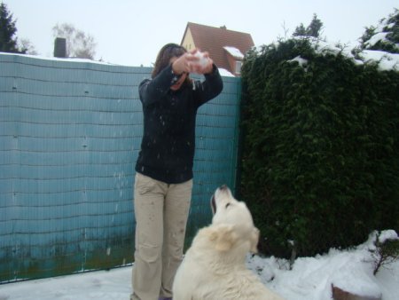 Dsc04583.jpg (28594 Byte)