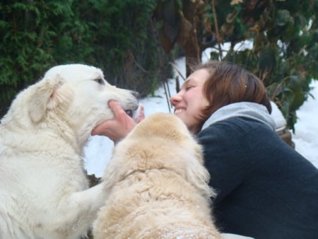 Dsc04593.jpg (29756 Byte)