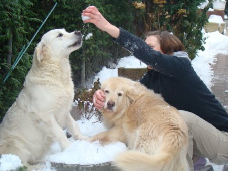 Dsc04595.jpg (36275 Byte)