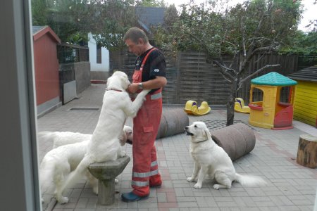 Dscn1030.jpg (34161 Byte)