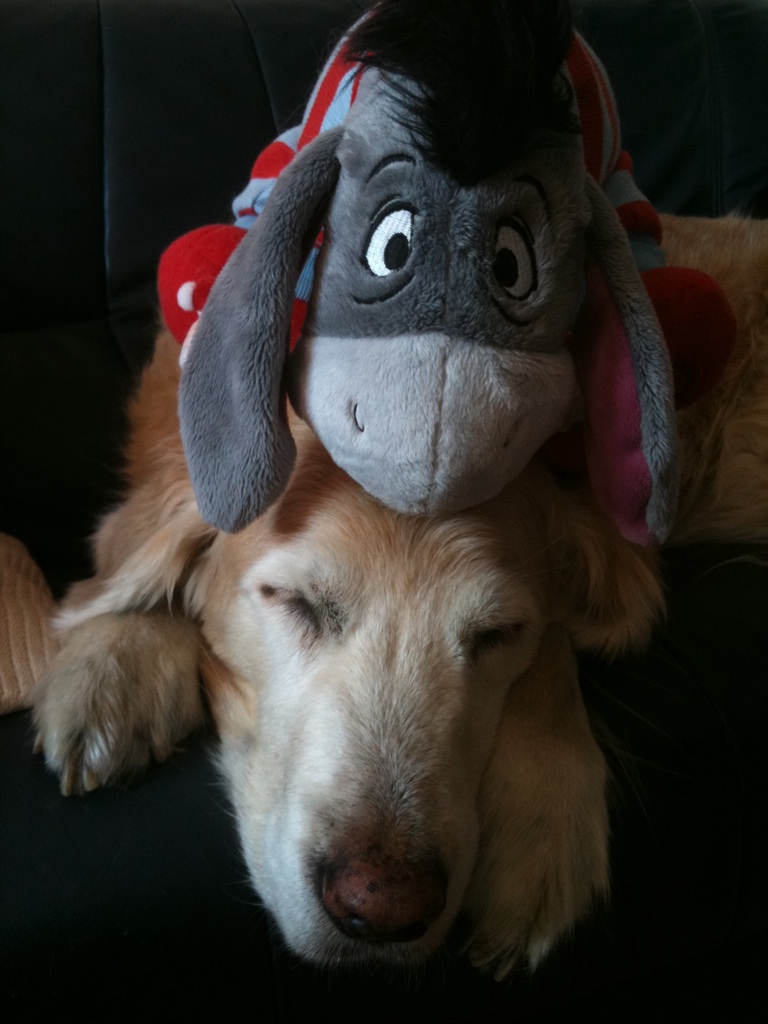 photo.JPG (169951 Byte)