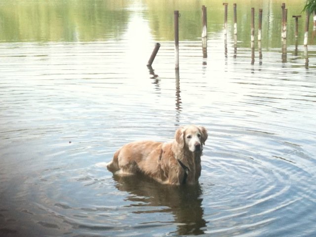 photo1.JPG (58661 Byte)