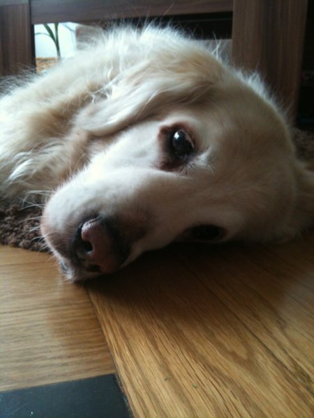 023.jpg (42188 Byte)