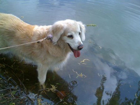 034.jpg (27790 Byte)