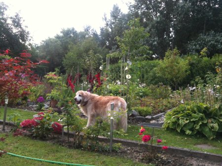 038.jpg (51081 Byte)