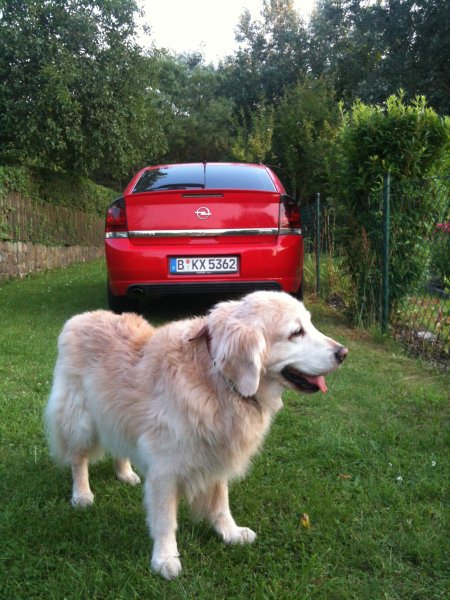 046.jpg (79665 Byte)