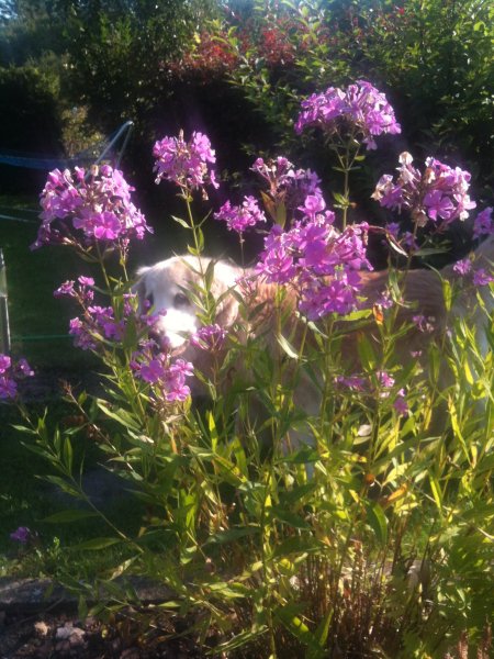 048.jpg (85671 Byte)