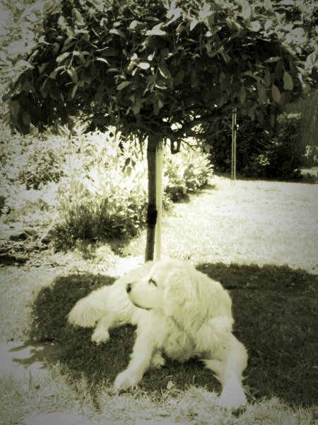 097.jpg (76411 Byte)