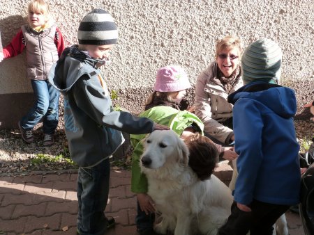 P1040419.jpg (52029 Byte)