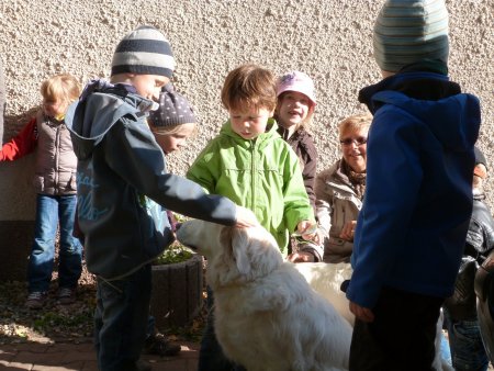 P1040420.jpg (49127 Byte)