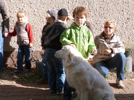 P1040421.jpg (55307 Byte)