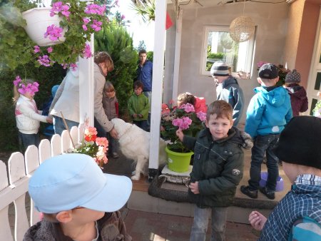 P1040428.jpg (44682 Byte)