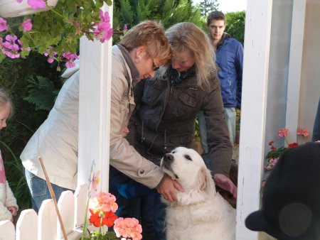 P1040430.jpg (37411 Byte)