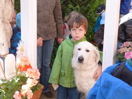 P1040432.jpg (39795 Byte)