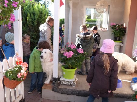 P1040438.jpg (44535 Byte)