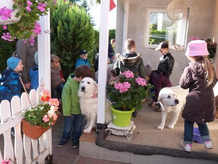 P1040439.jpg (47278 Byte)