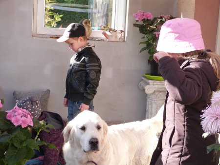 P1040440.jpg (35665 Byte)