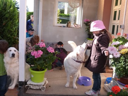 P1040441.jpg (43638 Byte)