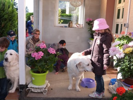 P1040442.jpg (43918 Byte)