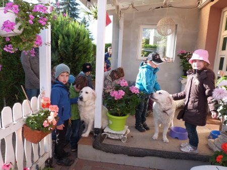 P1040443.jpg (48618 Byte)