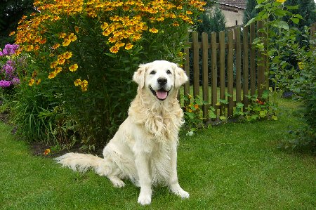 P1030025.jpg (58796 Byte)