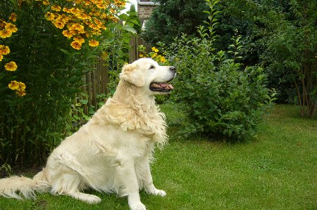 P1030026.jpg (54960 Byte)