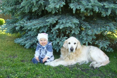 P1030200.jpg (57163 Byte)