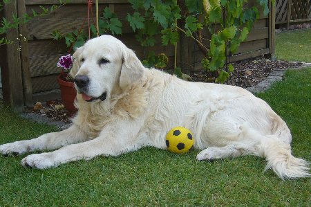 P1030244.jpg (46746 Byte)