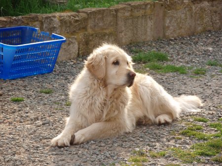 Tischtennis 054.jpg (51391 Byte)