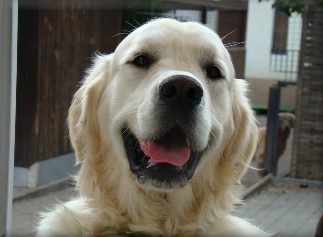 Dsc06919.jpg (48598 Byte)