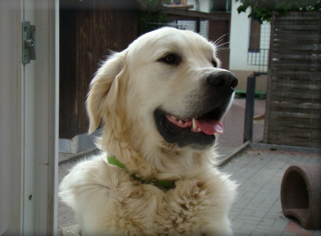 Dsc06921.jpg (48064 Byte)